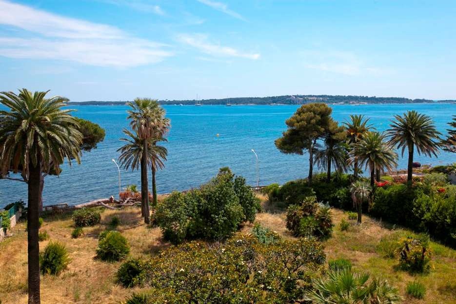 Cannes Moures Rouge